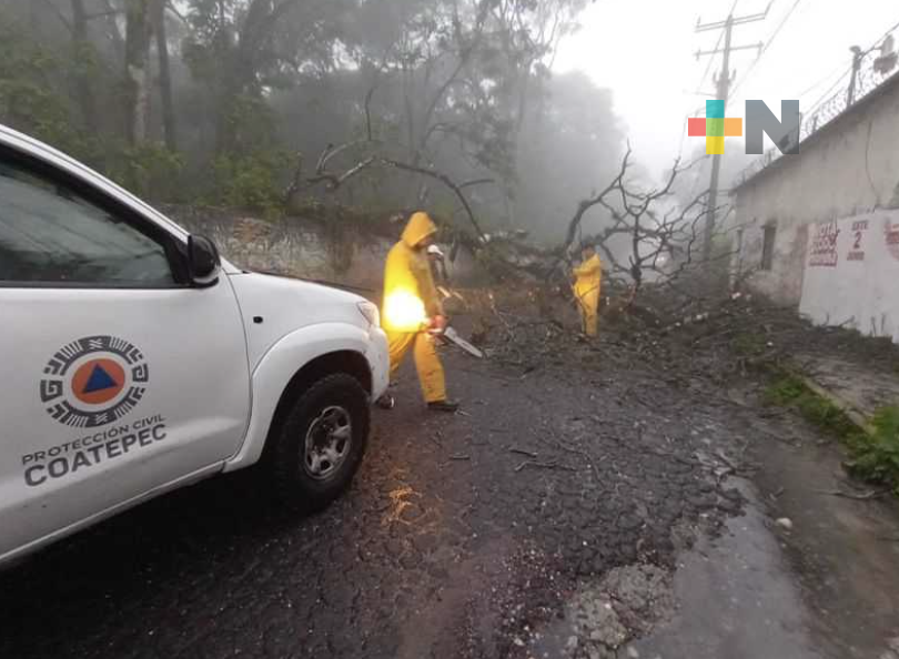 En Coatepec continúan atendiendo afectaciones tras el paso de la Tormenta tropical «Chris»